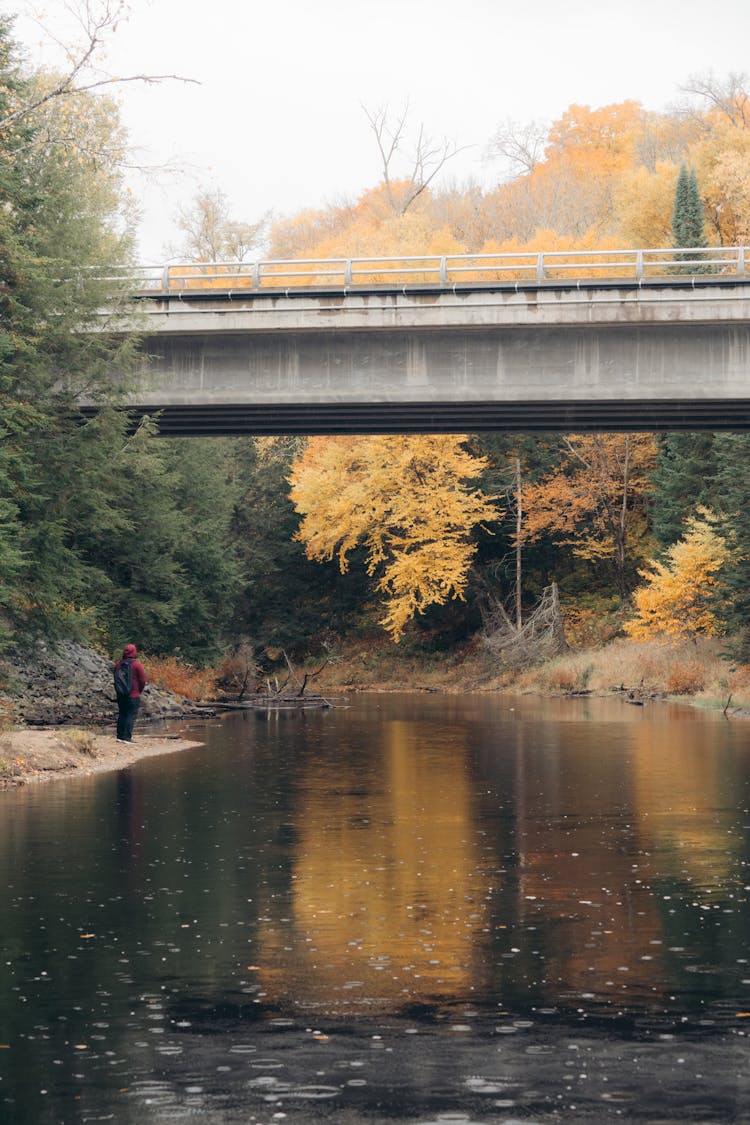 Man Standing On River Bank In Forest