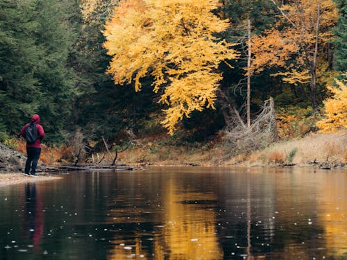 Free Person Near Autumn Trees Along a Body of Water  Stock Photo