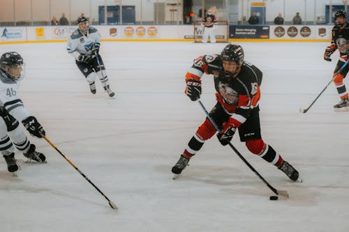 People Playing Hockey