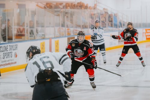 
People Playing Hockey