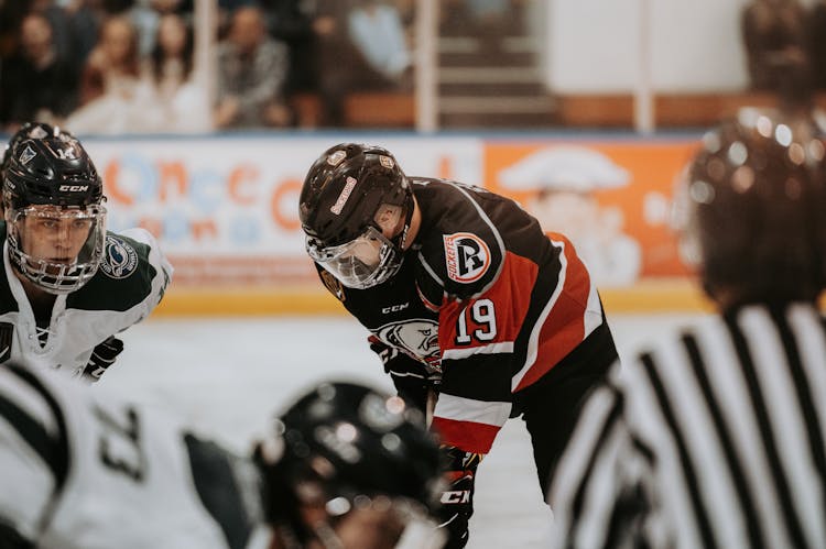 People Playing Hockey