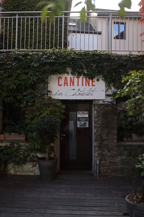 Entrance to a Restaurant Covered with Ivy 