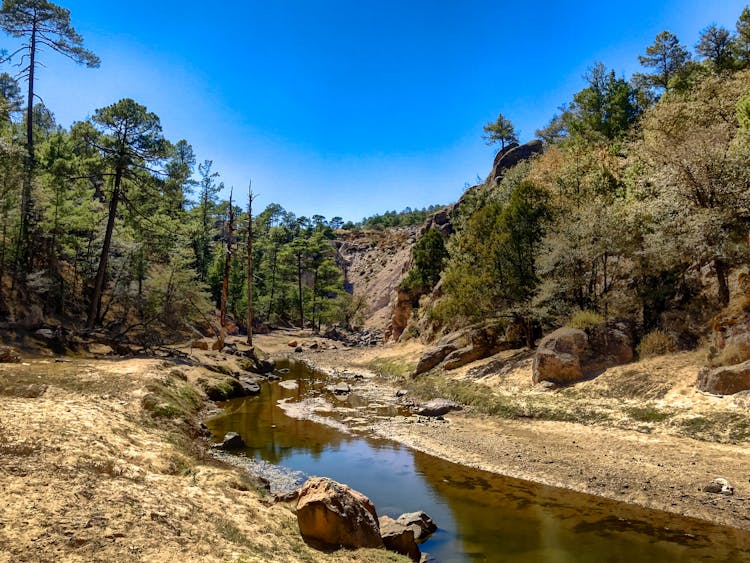 Stream In A Valley Under Blue Sky 