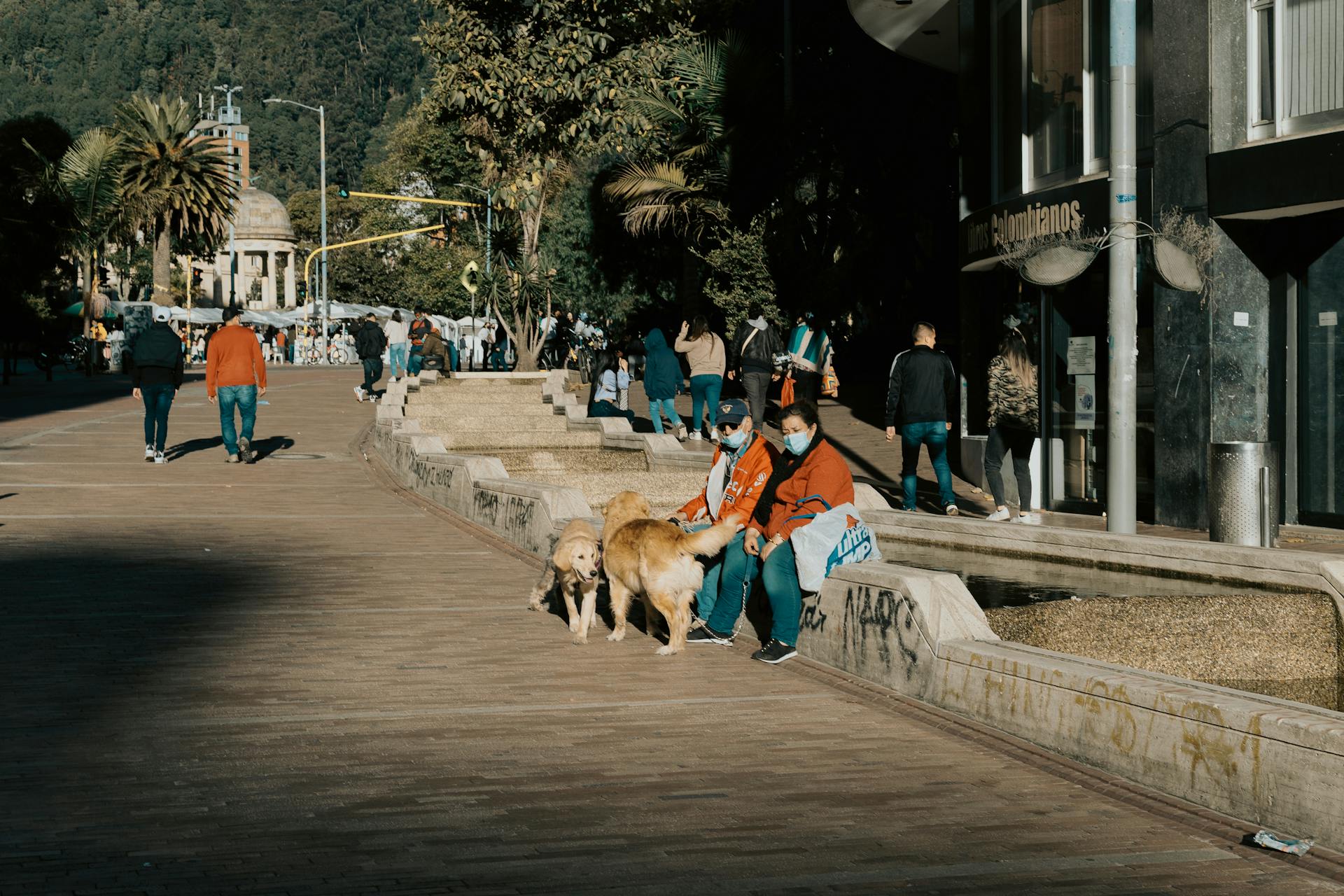 Couple with Dogs Sitting by the Road in a Town