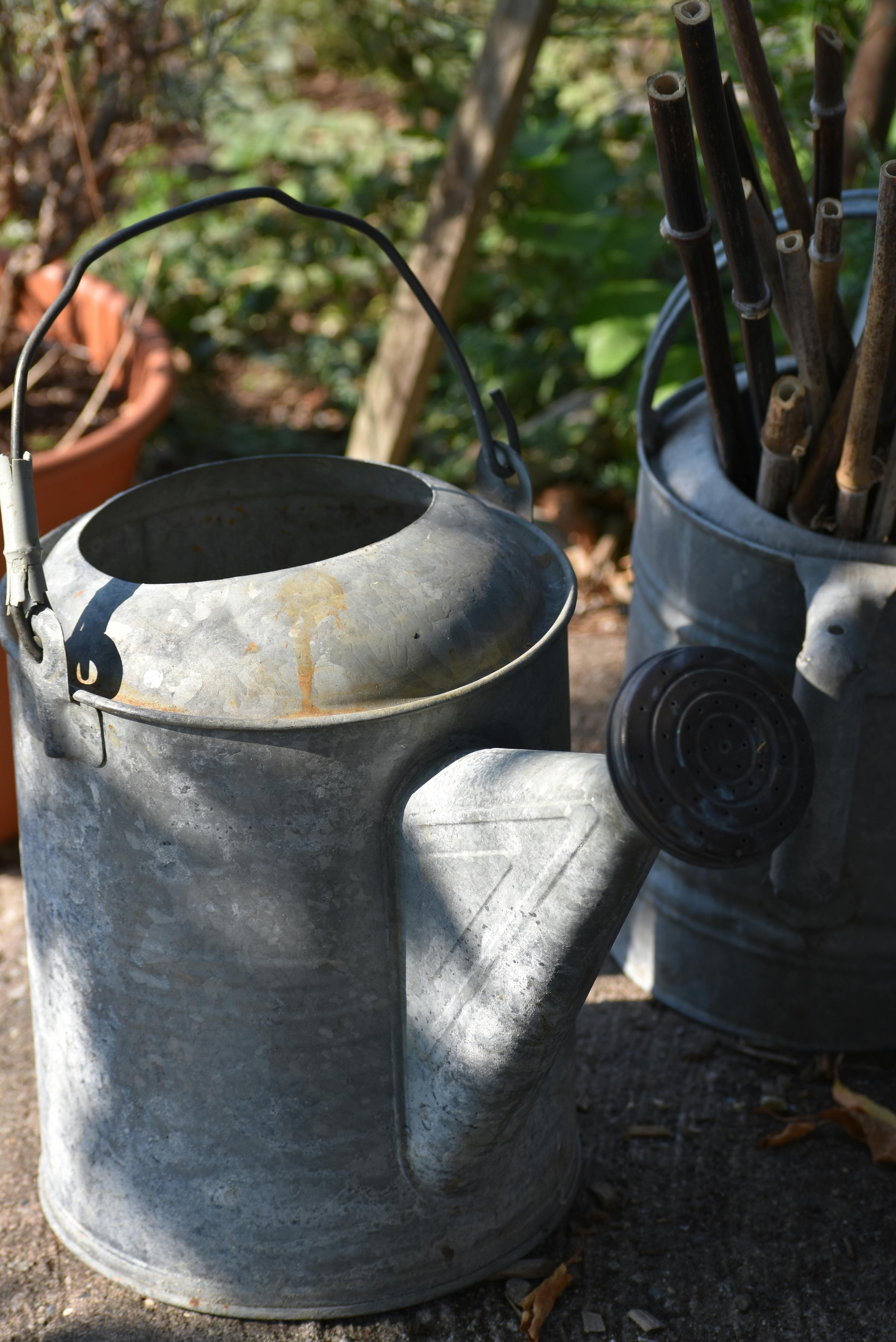 What zodiac can control water?