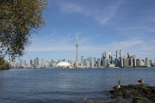 Free The Toronto, Canada Skyline Stock Photo
