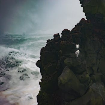 海浪冲击着下方的悬崖，海鸥栖息在崎岖的岩壁上，构成了一幅戏剧性的海景