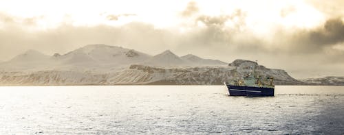 Free stock photo of backlight, calm waters, fishing boat