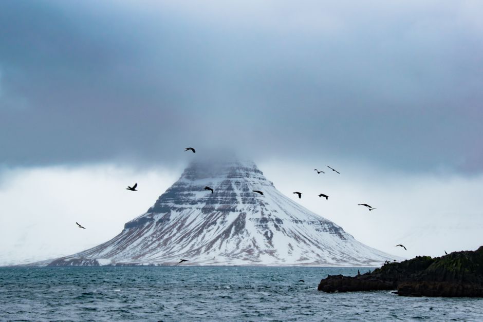 Dramatic view of Kirkjufell Mountain in Iceland with birds flying over the sea and snowy peak.