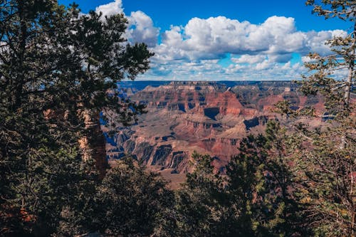 Imagine de stoc gratuită din arbori, arizona, călătorie