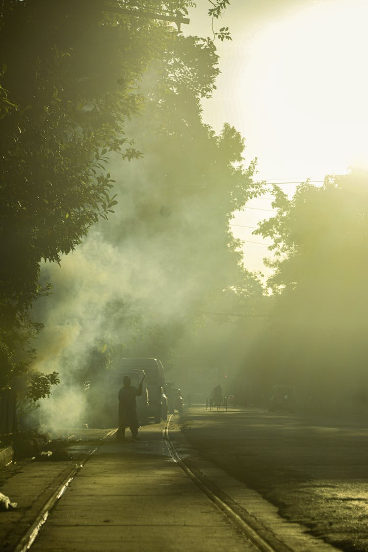 Silhouette Of Person On Road In Fog