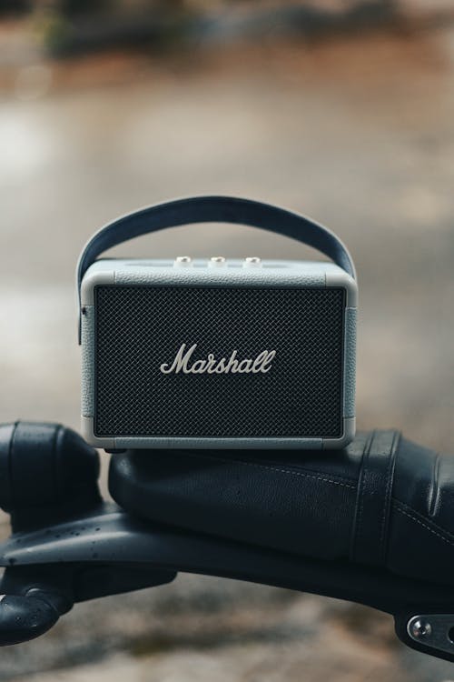 Marshall Music Speaker 