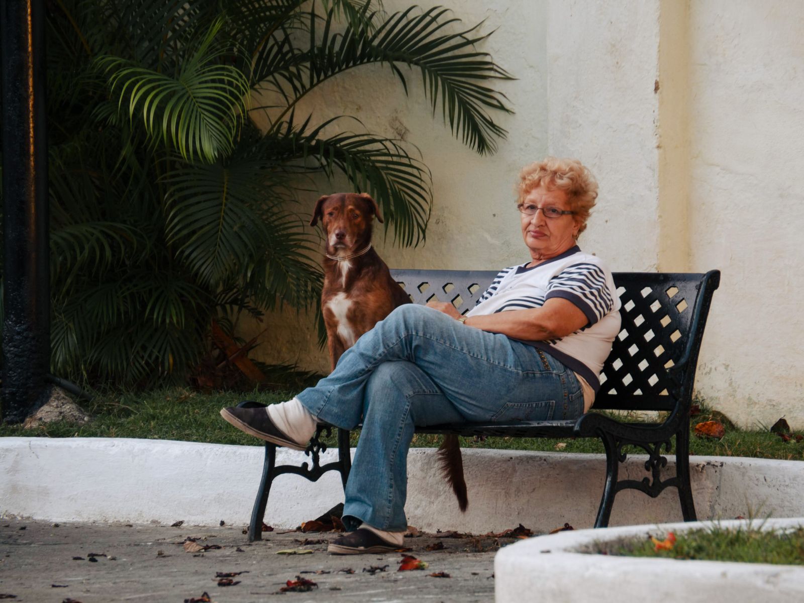 A woman with red hair relaxing on a park bench beside a brown and white dog