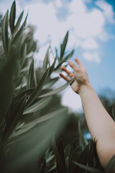 A hand extends through green leaves reaching towards a partly cloudy blue sky, symbolizing connection with nature.