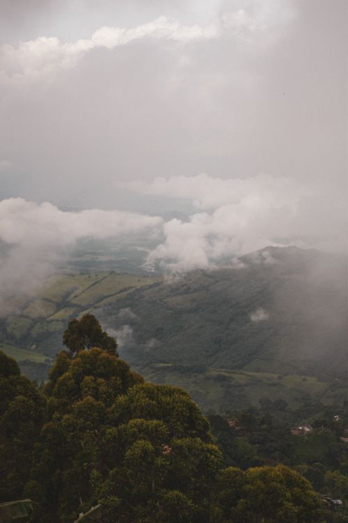 Free Captivating view of foggy mountains and lush greenery under a gloomy sky. Stock Photo