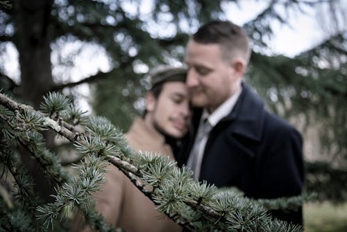 Shallow Focus Photo of Green Leafed Tree in Front of Men