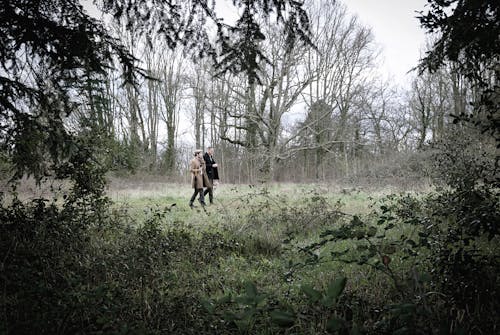 Hombres Caminando Sobre El Bosque