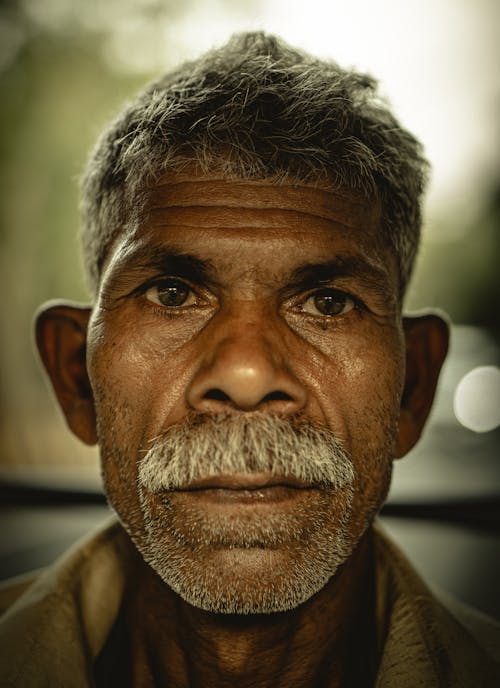 Foto profissional grátis de 3x4, cabelo branco, cara