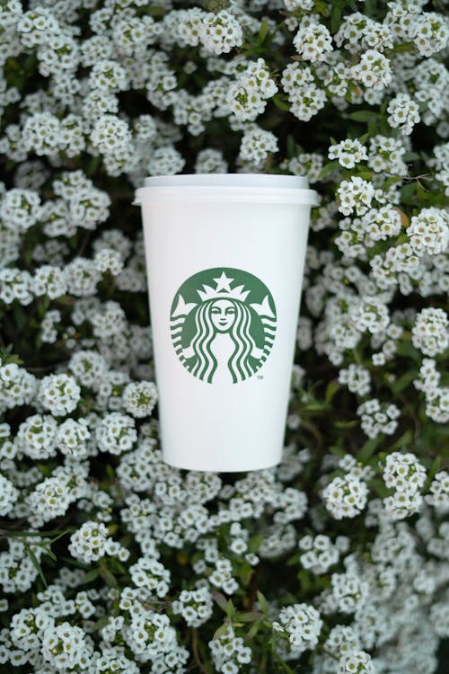 Starbucks Cup on White Flowers