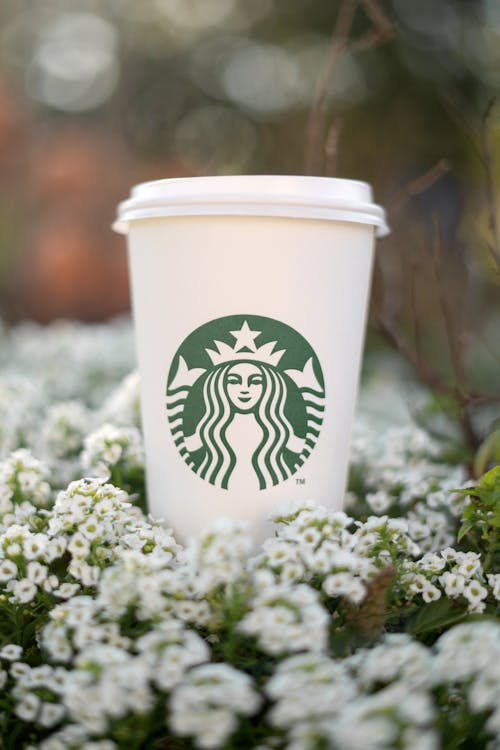 Close-Up Shot of a White Disposable Cup on White Flowers