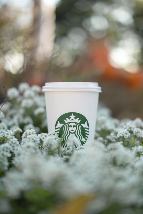 Free A white Starbucks paper cup surrounded by delicate white flowers in an outdoor setting. Stock Photo