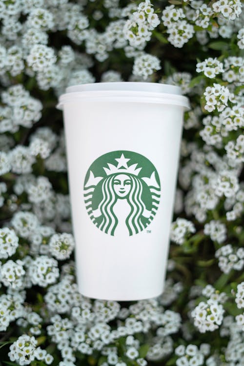 Close Up Shot of a Cup of Starbucks
