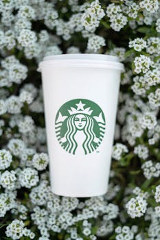 Close-up of a Starbucks paper cup surrounded by delicate white flowers.