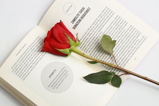 A beautiful red rose lies on an open book, symbolizing romance and literature.