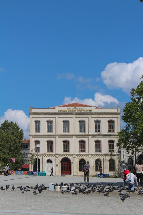 Gratis arkivbilde med beyazit statsbibliotek, bygningens eksteriør, fasade