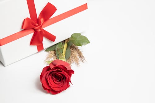 A Red Rose and Gift on the White Surface