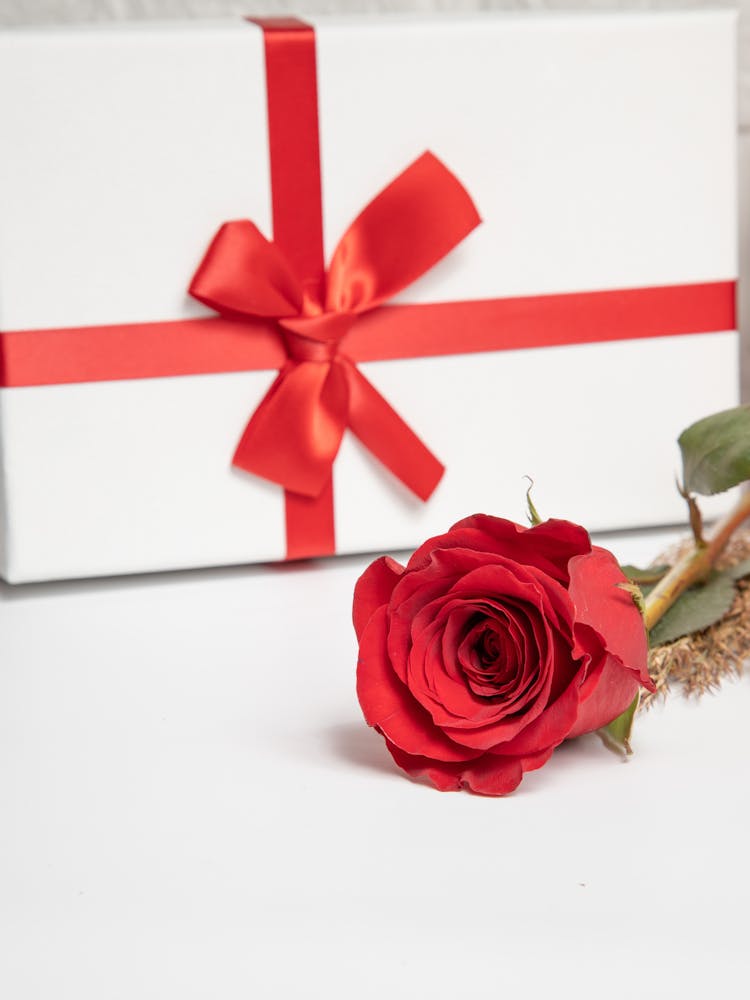 Photo Of A Red Rose And Gift