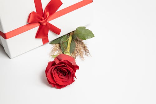 Free A Valentine's Gift Stock Photo