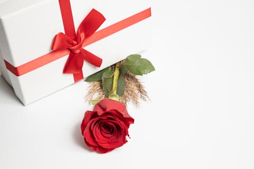 Free Photo of a Red Rose and Gift on the White Surface Stock Photo