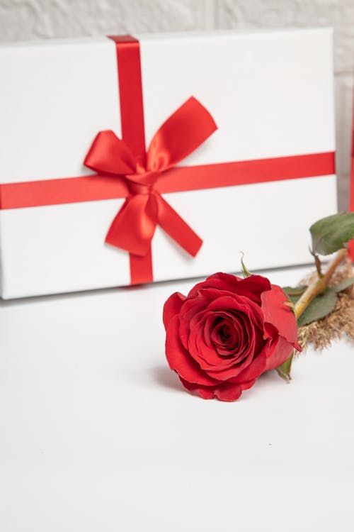 Photo of a Red Rose and Gift on the White Surface