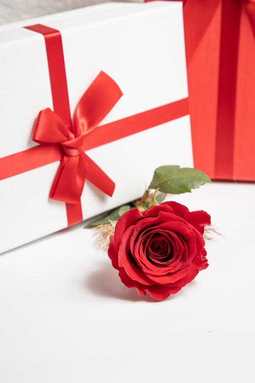 A Gift and Red Rose on the White Table