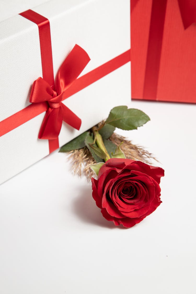 A Gift With Ribbon And Red Rose