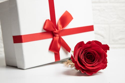 A Red Rose and Gift Box on the White Surface