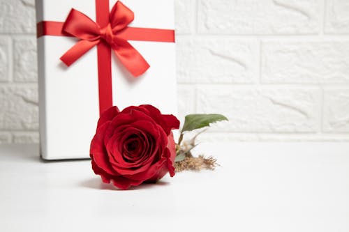 A Red Rose and a Gift Box on a White Surface