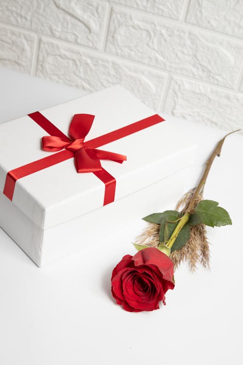 Fotos de stock gratuitas de caja de regalo, de cerca, flor