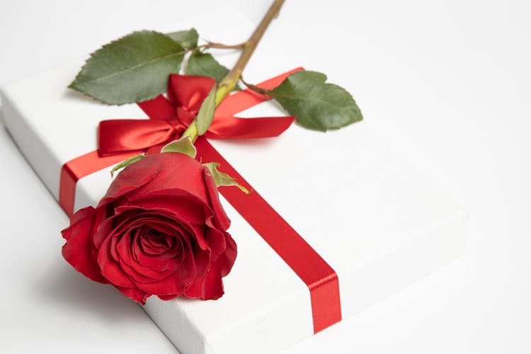 Red Rose On A Present 