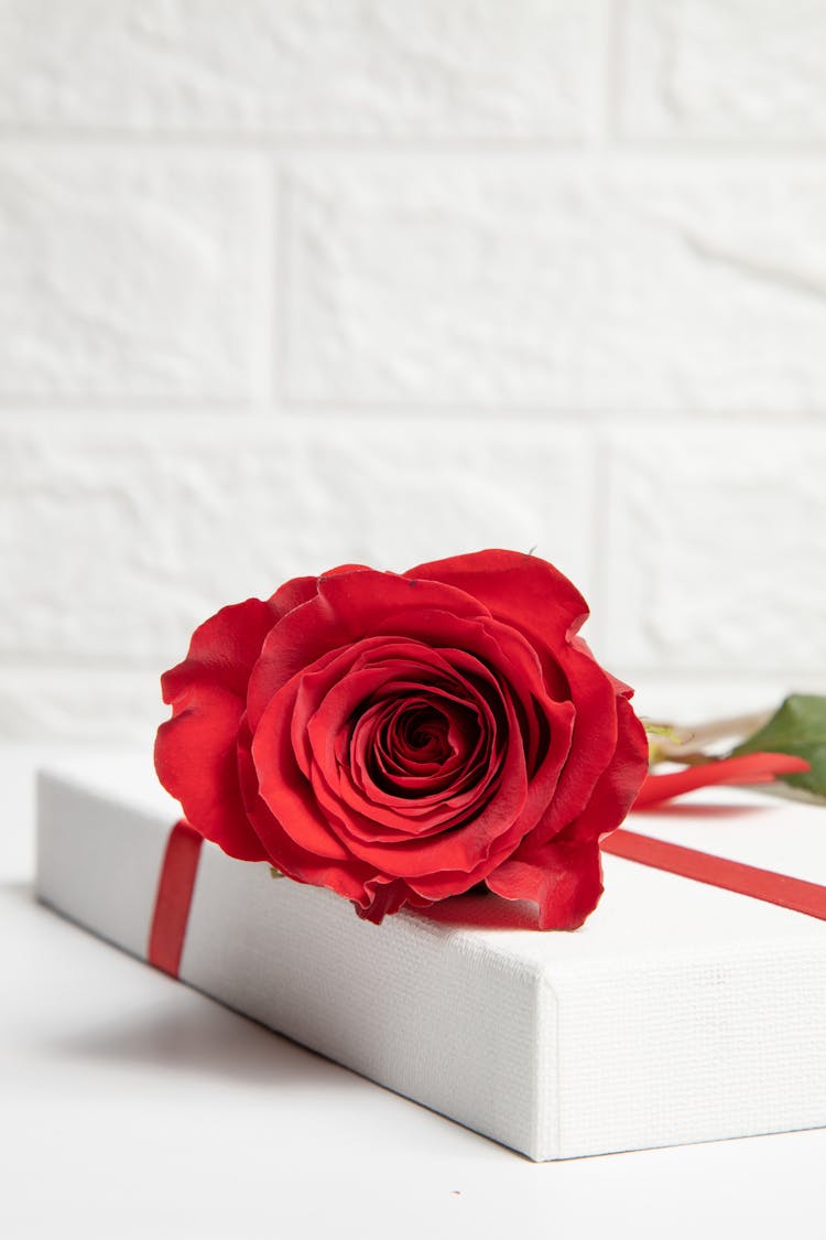 Red Rose On A Box 