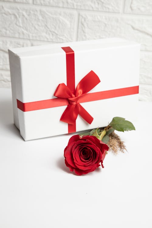 Free Red Rose in White Box Stock Photo