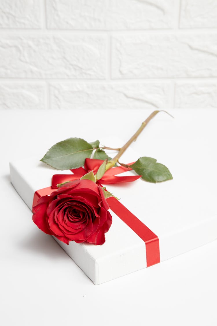 Red Rose Lying On Wrapped Gift