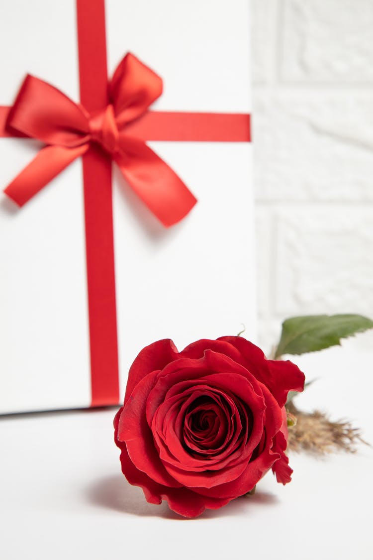 Red Rose Lying By A Gift