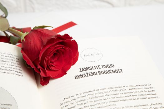Close-up of a vibrant red rose placed on an open book, symbolizing romance and beauty.