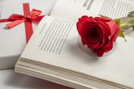 A vibrant red rose resting on an open book, accompanied by a gift box with a red ribbon.