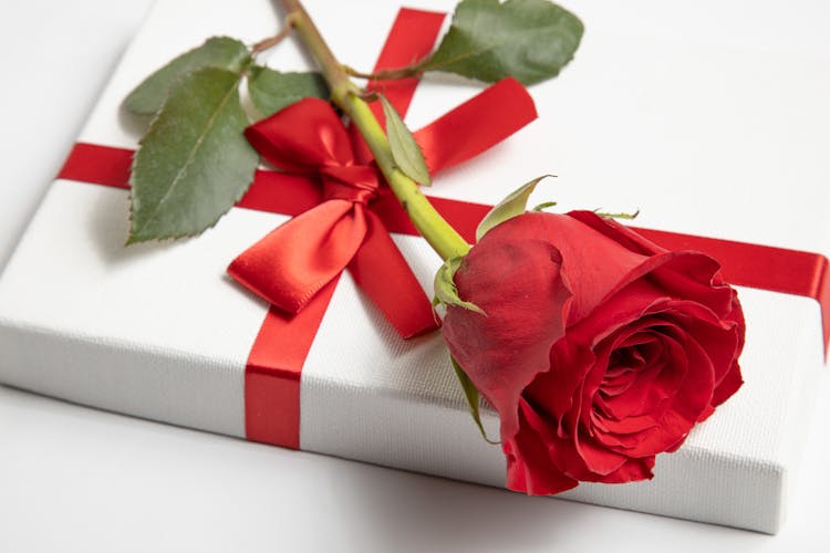 A Flower On A Present 