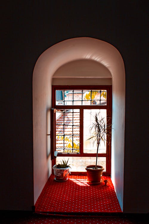 Foto stok gratis ambang jendela, dekorasi, desain interior