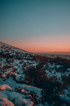 Beautiful cinematic view of snowy landscape, trees, and sunset sky.