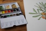Watercolour palette beside a botanical painting — photo by Sarah Films on Pexels